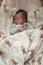 Load image into Gallery viewer, Ted &amp; Duck Swaddle