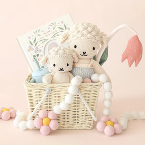 Benjamin the Lamb