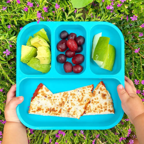 Plant Based Bento Plate | Blue 22x21cm