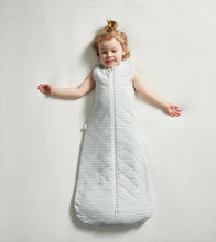 Load image into Gallery viewer, Sleeping Bag | Dusk Blue Stripe