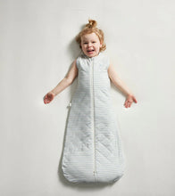 Load image into Gallery viewer, Sleeping Bag | Dusk Blue Stripe