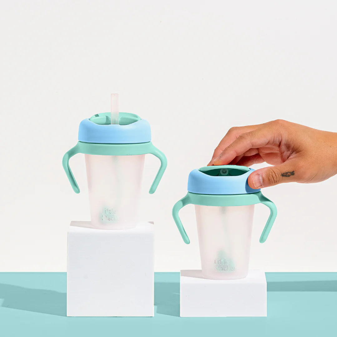 Weighted Straw Sippy Cup 2pc