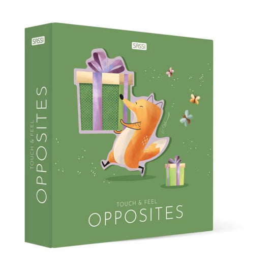Opposites | Touch and Feel Pocket Book