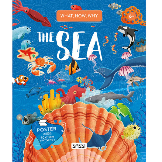 What, How and Why The Sea Book and Poster