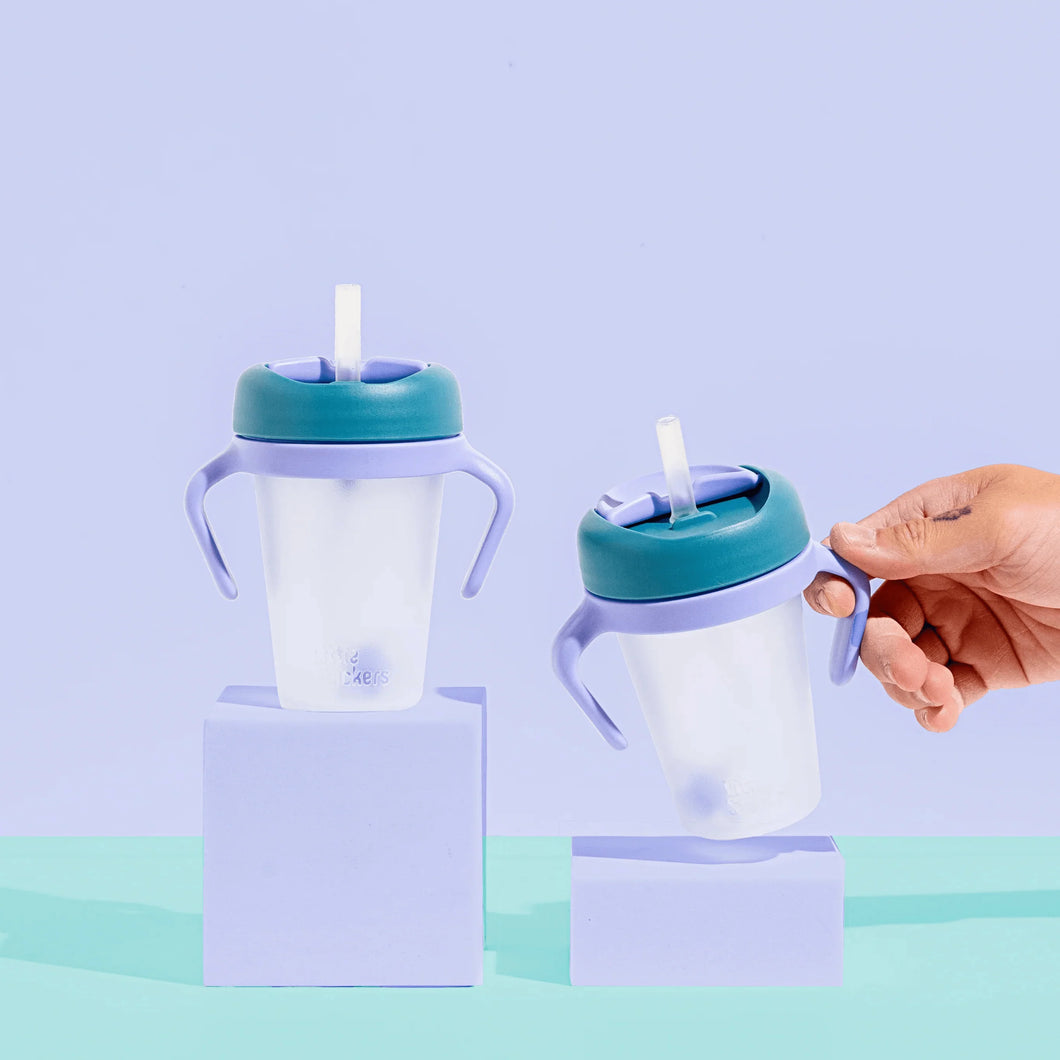 Weighted Straw Sippy Cup 2pc