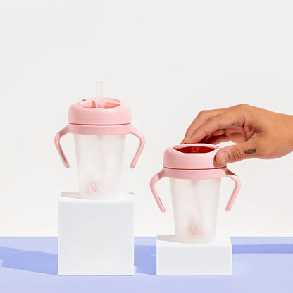 Weighted Straw Sippy Cup 2pc