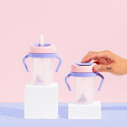 Weighted Straw Sippy Cup 2pc