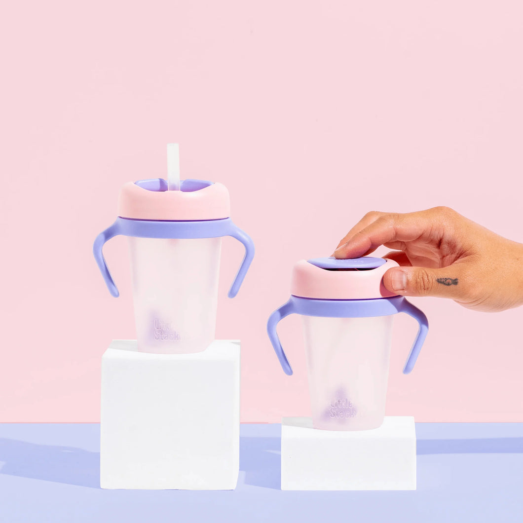 Weighted Straw Sippy Cup 2pc