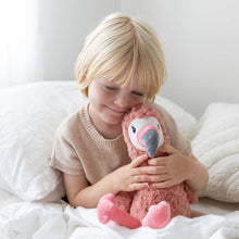 Load image into Gallery viewer, Francesca the Weighted Flamingo