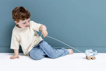 Load image into Gallery viewer, Mr Shark Wooden Pull Along Toy