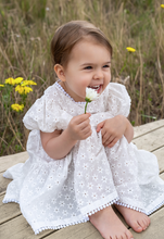 Load image into Gallery viewer, Eliza Embroidered Lace Dress
