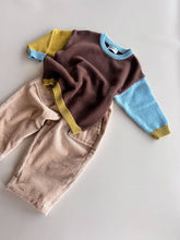 Load image into Gallery viewer, Cotton Knit Jumper  | Brown/Blue/Green