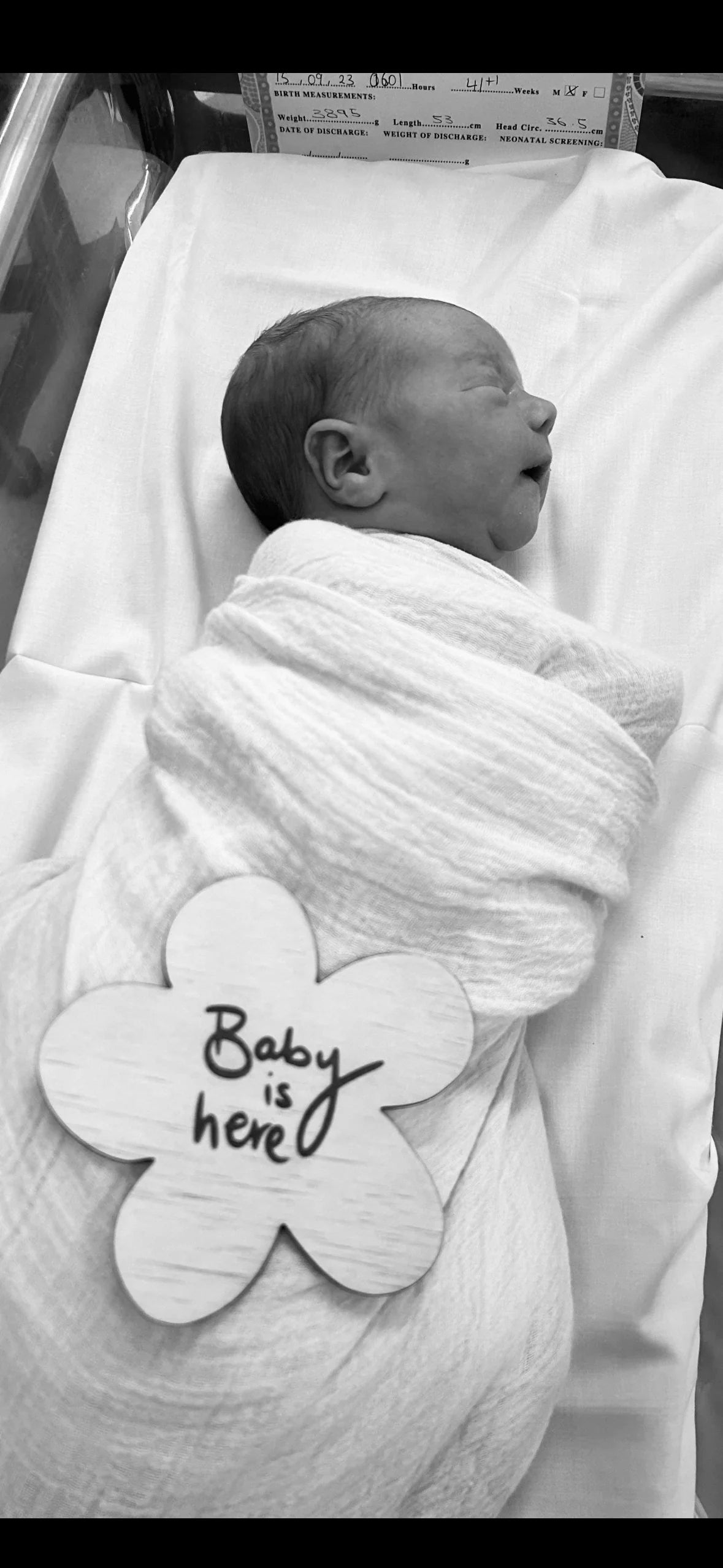Baby is Here Plaque