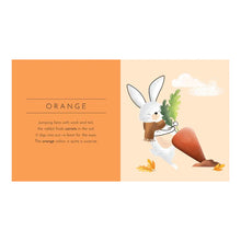 Load image into Gallery viewer, Colours | Touch and Feel Pocket Book