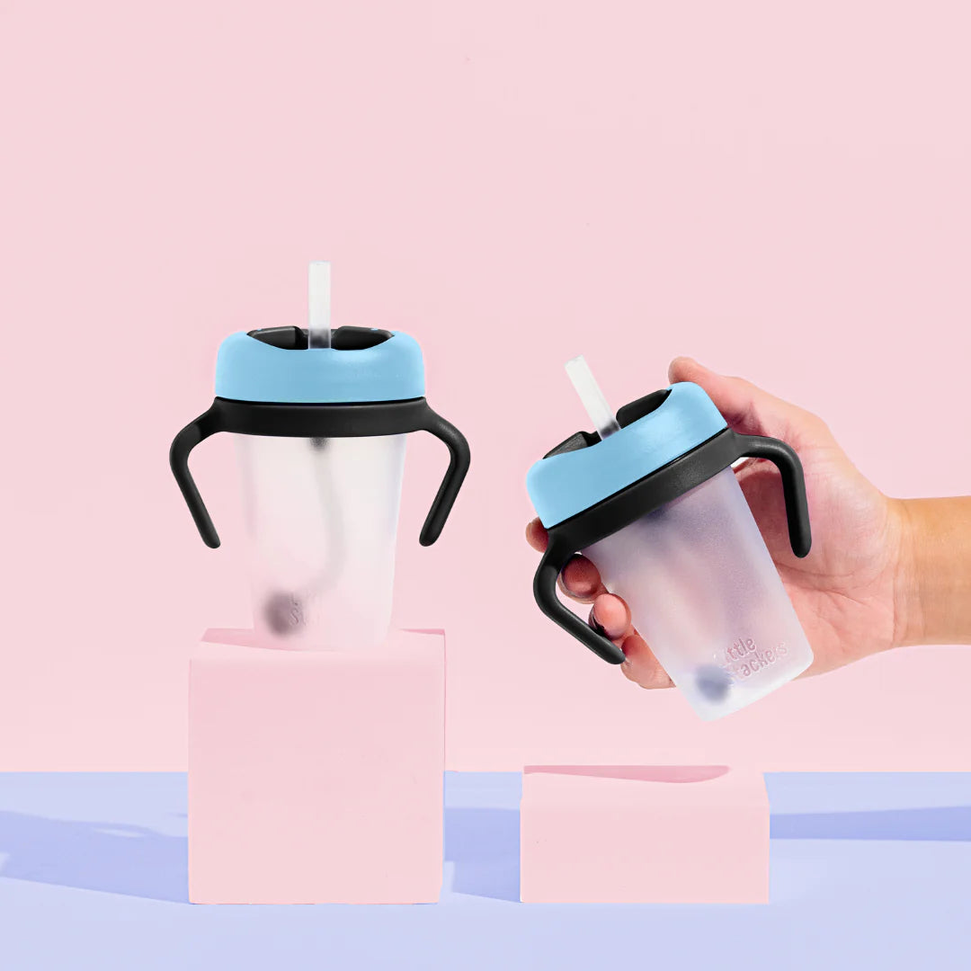 Weighted Straw Sippy Cup 2pc