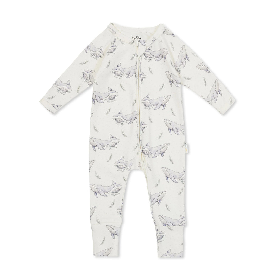 Payton Zipsuit | Humpback Whales