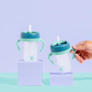 Weighted Straw Sippy Cup 2pc