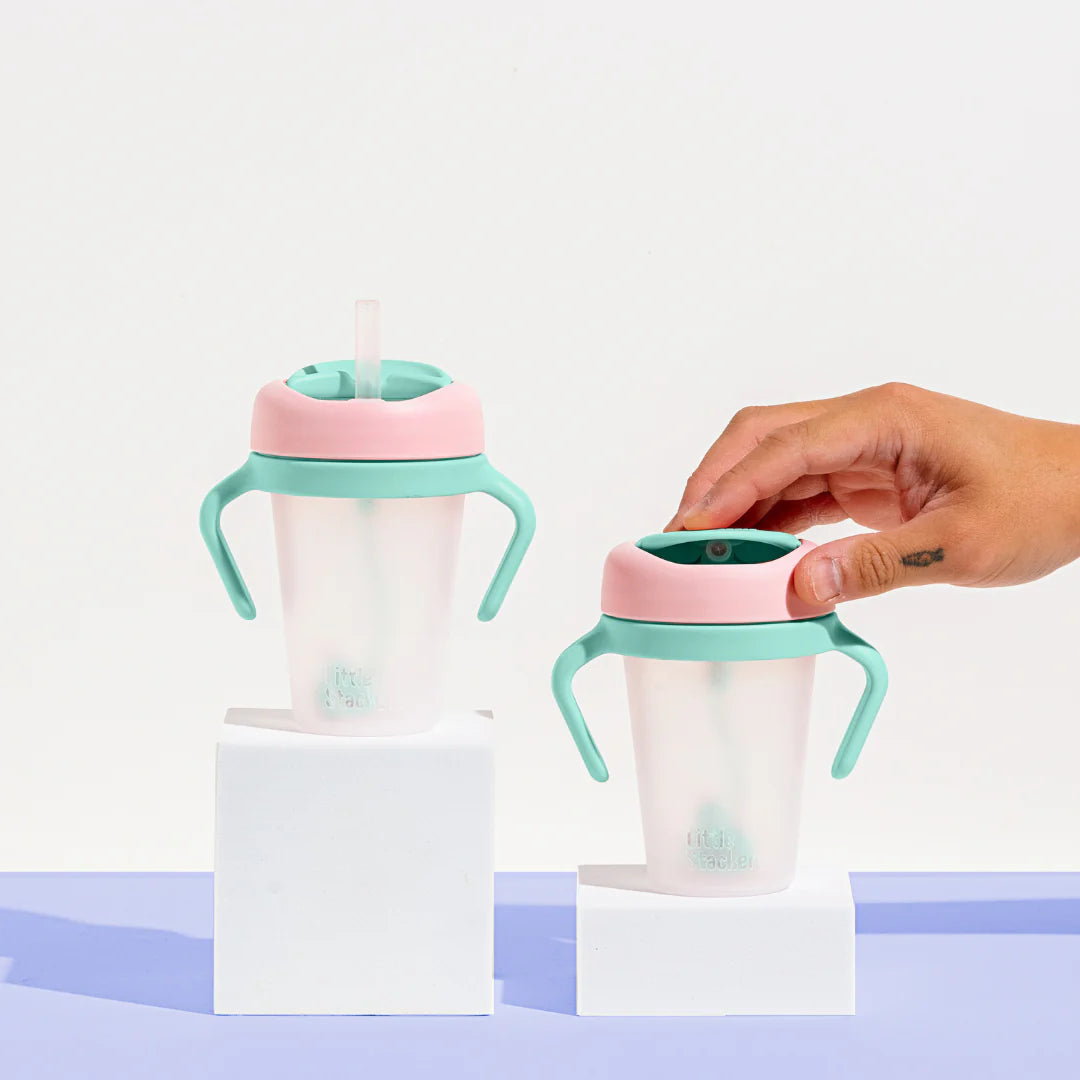Weighted Straw Sippy Cup 2pc