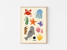 Load image into Gallery viewer, Colours Underwater Print - Modern Educational Kid's Art