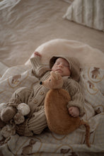 Load image into Gallery viewer, Squeaky the Sweet Comforter Toy