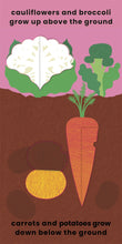 Load image into Gallery viewer, Love Veggies with Jamie Oliver!