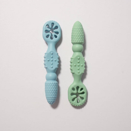 Dipper Spoon Set | Blue and Green