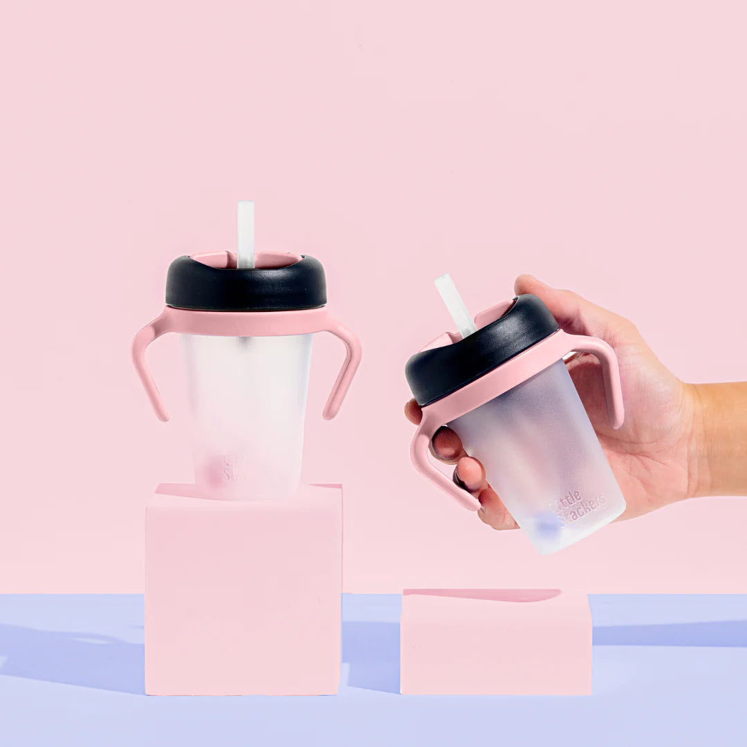 Weighted Straw Sippy Cup 2pc
