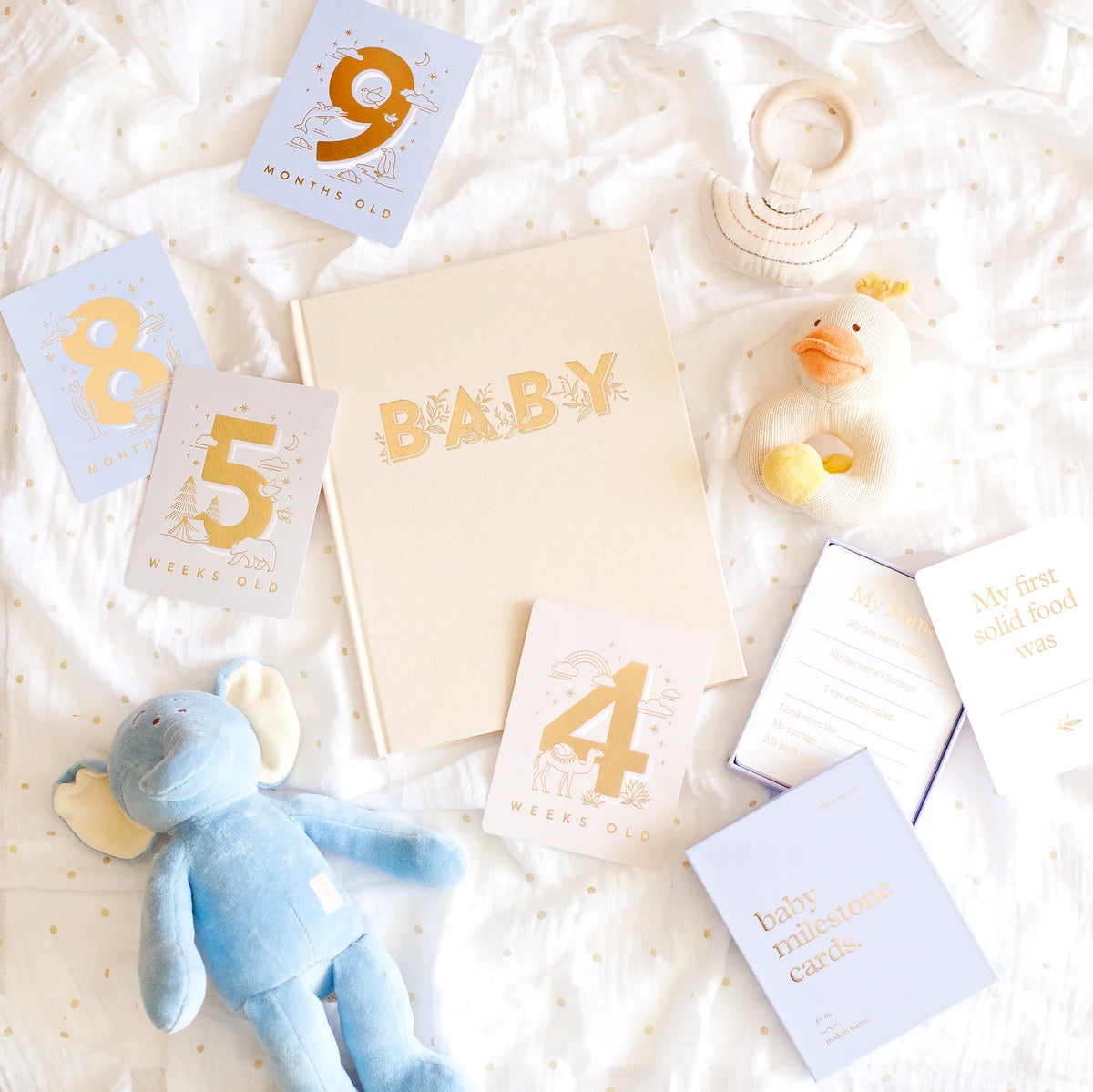 Baby Milestone Cards | Powder Blue