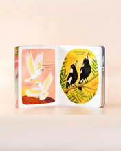 Load image into Gallery viewer, Busy Beaks, Book by Sarah Allen