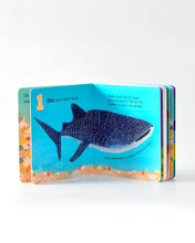 Load image into Gallery viewer, Australia Under The Sea 1 2 3, Book by Frane Lessac
