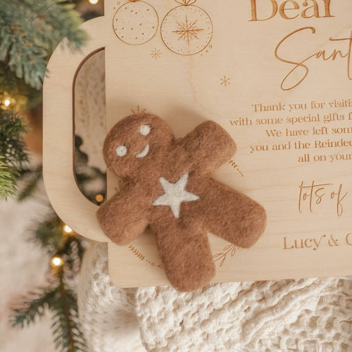 Mr Spicy the Gingerbread Kid