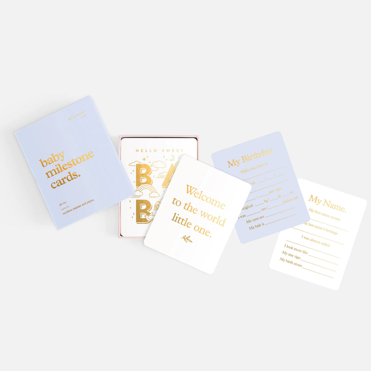 Baby Milestone Cards | Powder Blue