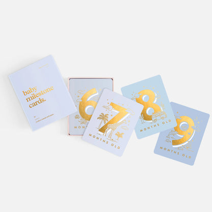 Baby Milestone Cards | Powder Blue