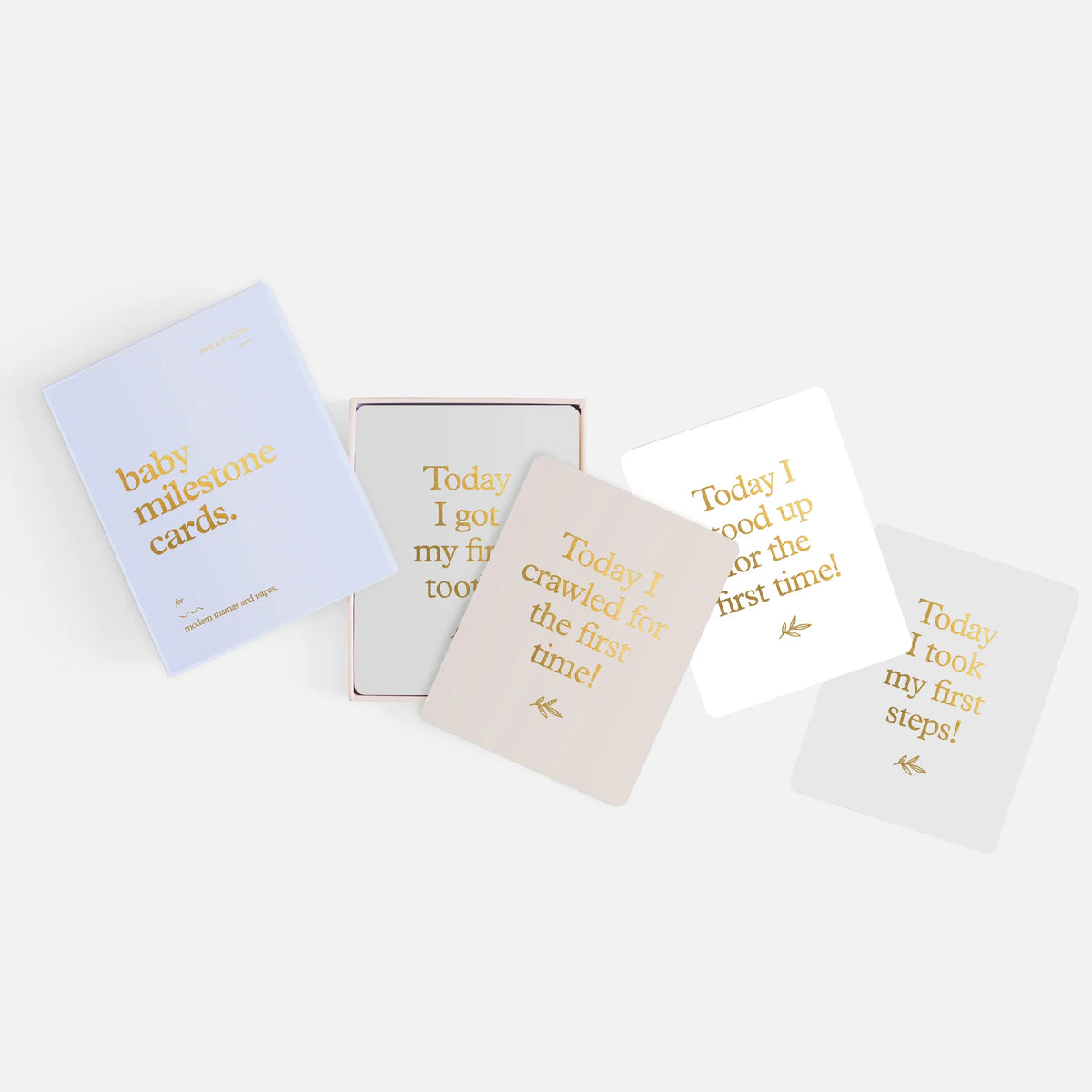 Baby Milestone Cards | Powder Blue