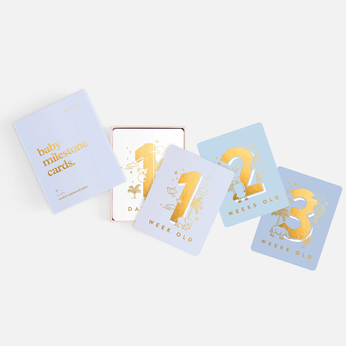 Baby Milestone Cards | Powder Blue