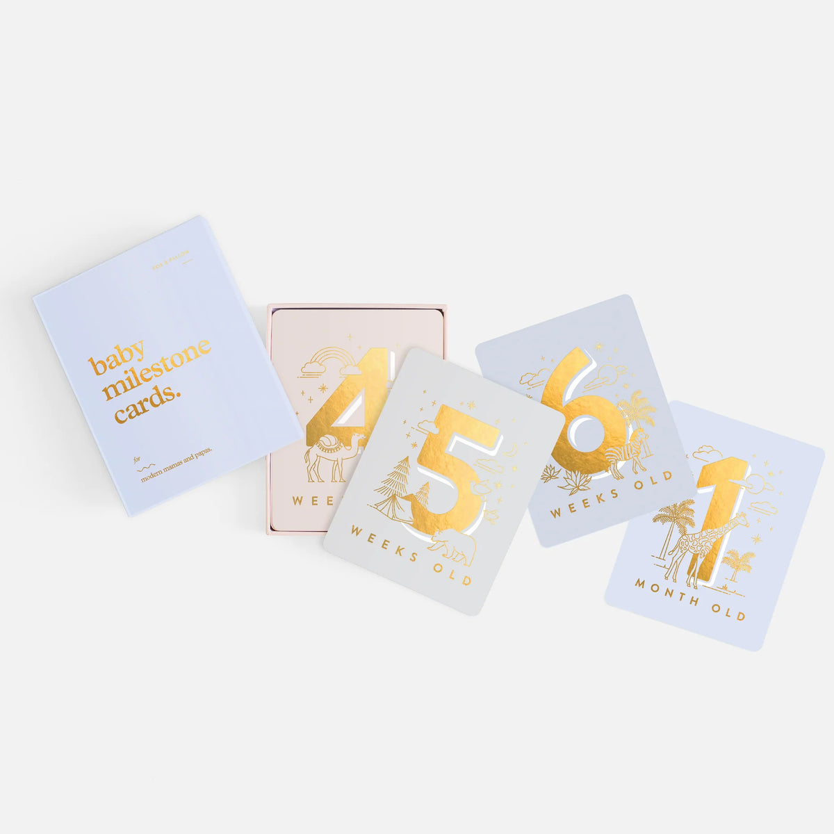 Baby Milestone Cards | Powder Blue