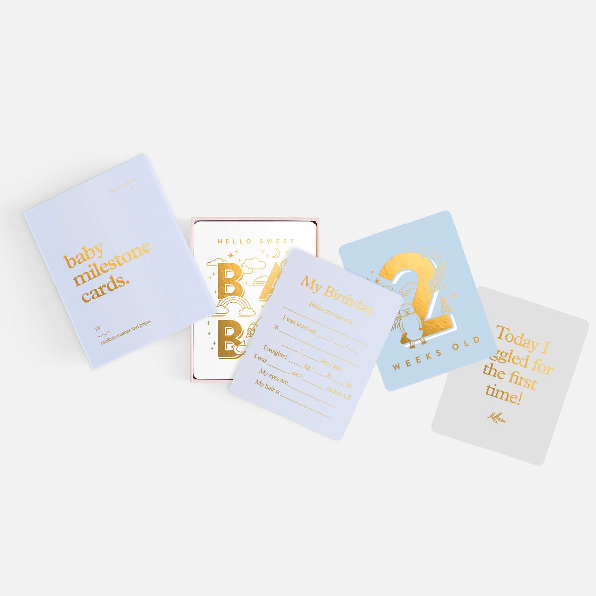 Baby Milestone Cards | Powder Blue