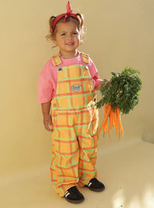Check It Overalls