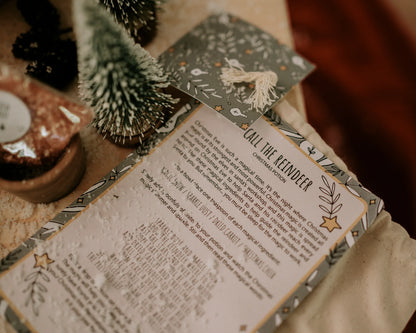 Call the Reindeer | Christmas Potion Pouch