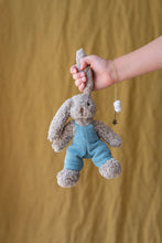 Load image into Gallery viewer, Baby Honey Bunny Blue Overalls