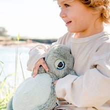 Load image into Gallery viewer, Tyler Turtle