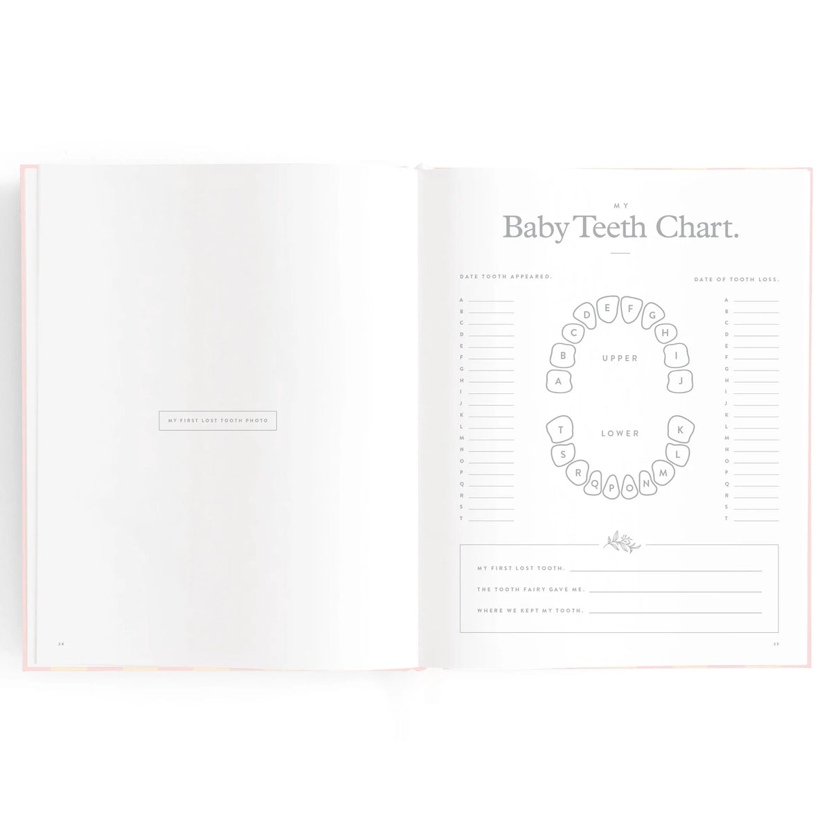 Baby Book Sage Stripe