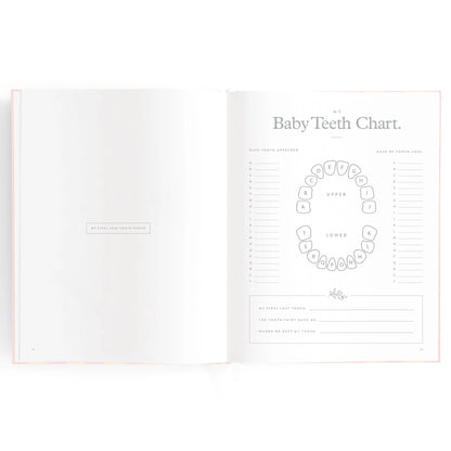 Baby Book Sage Stripe