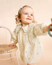 Load image into Gallery viewer, Orchard Bloom Emb. Stripe Overlay Dress
