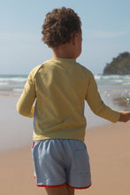 Load image into Gallery viewer, Board Shorts | Ocean