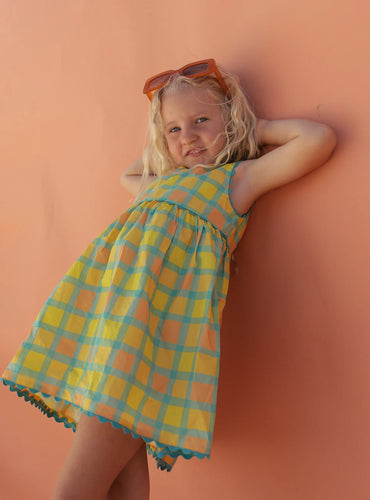 Checkered Picnic Dress