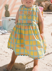 Checkered Picnic Dress