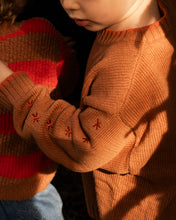 Load image into Gallery viewer, Organic Starlight Knit Pull Over - Earth
