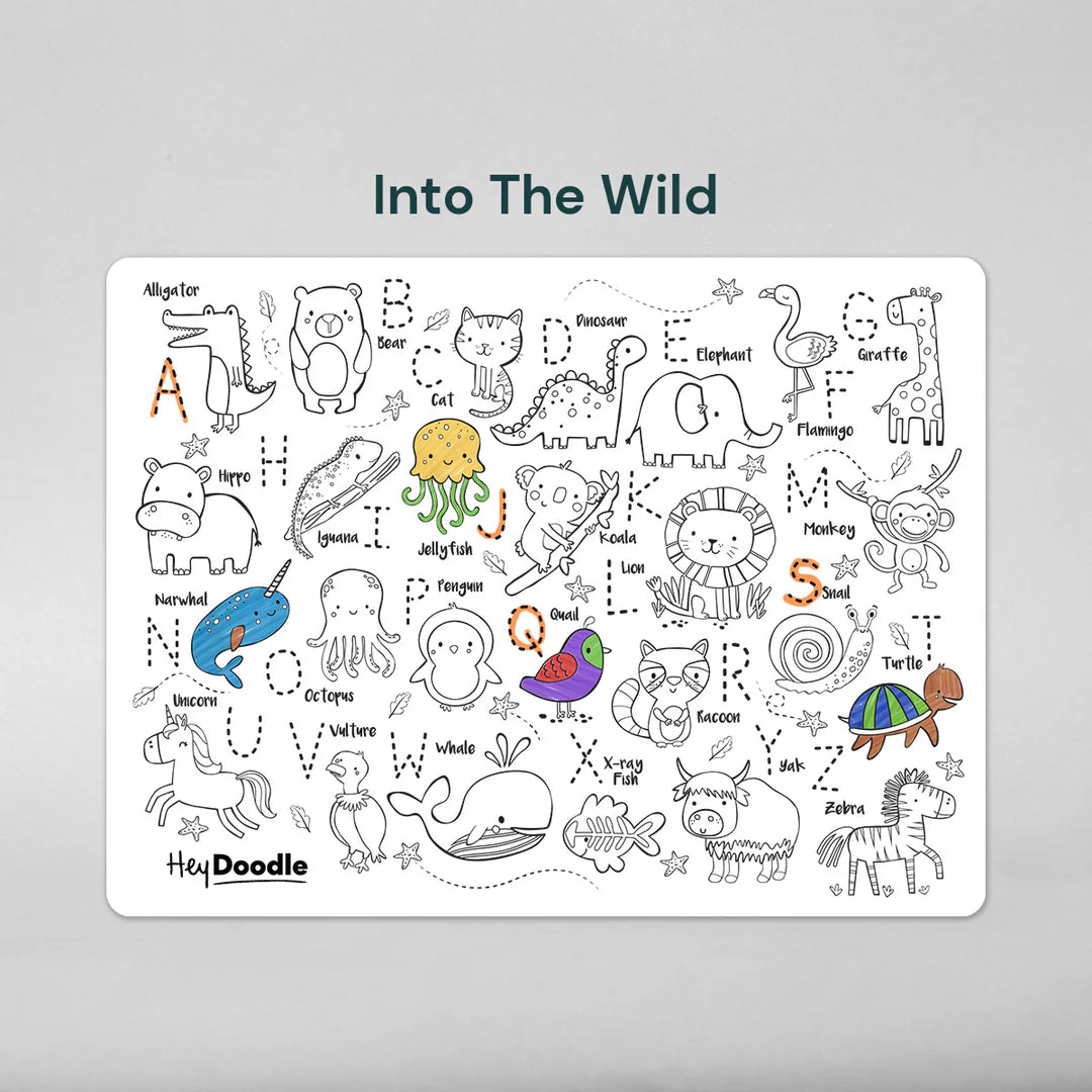ABC | Into the Wild