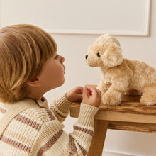 Load image into Gallery viewer, Snuggle Bunnies | Milo the Retriever